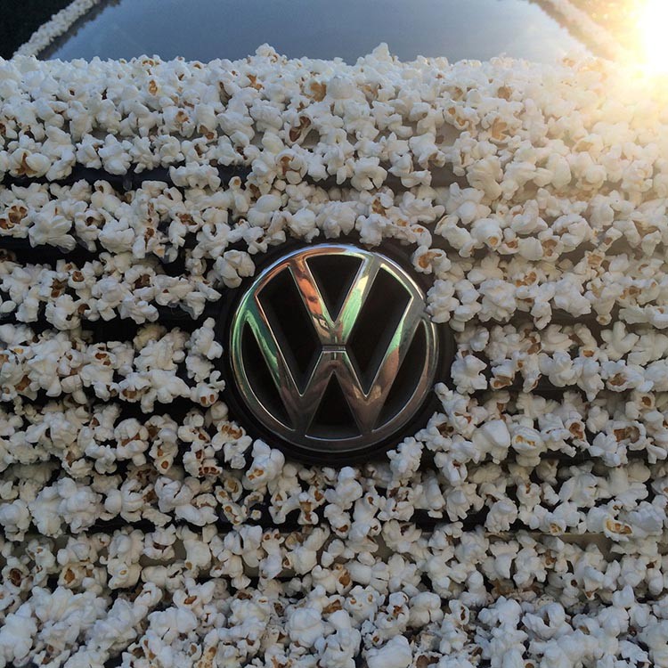 A 1983 Volkswagen Covered in Popcorn