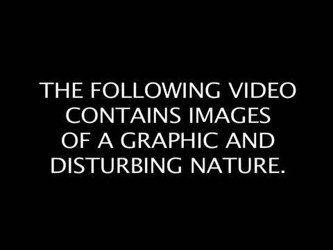 Weird Al Yankovic Sex Tape