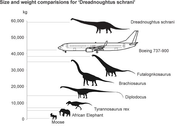Dreadnoughtus schrani size comparison
