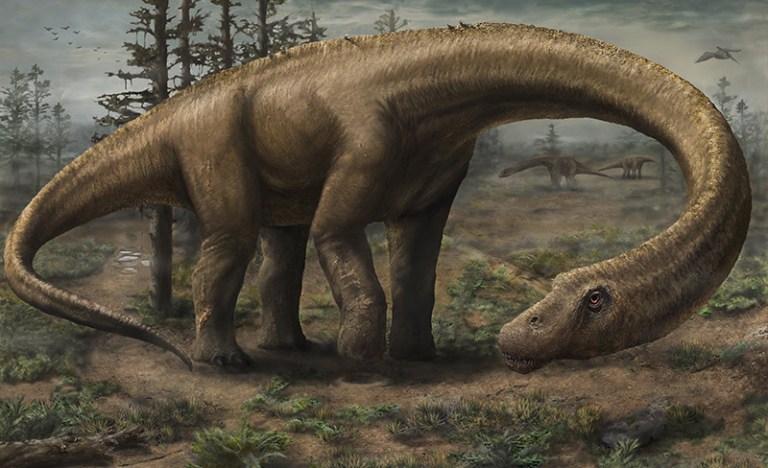 Dreadnoughtus schrani