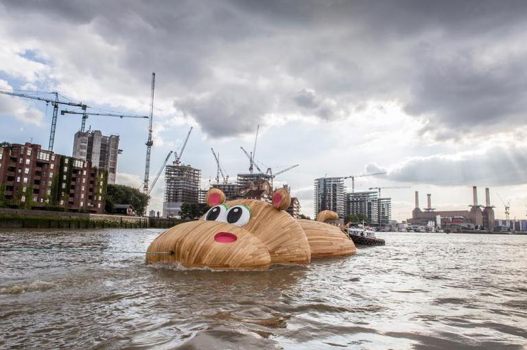 Hippopothames