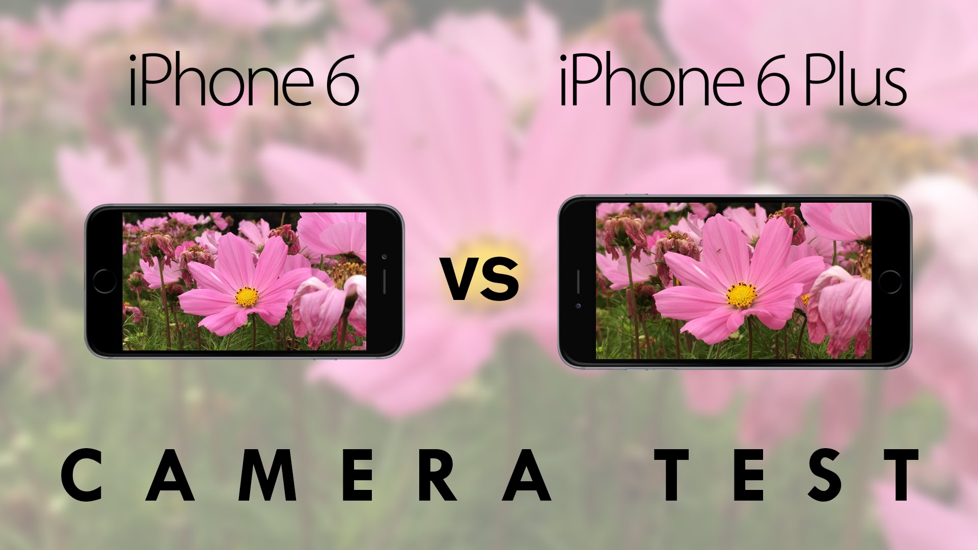 A Side By Side Comparison Of The Rear Facing Cameras On The Iphone 6 And Iphone 6 Plus