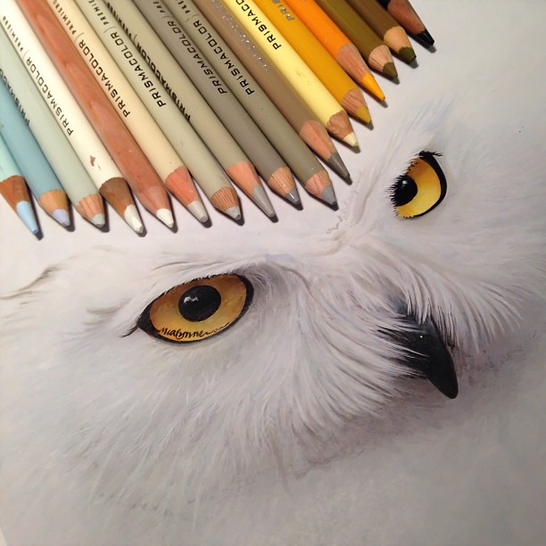 Hyperrealistic Animal Illustrations by Karla Mialynne