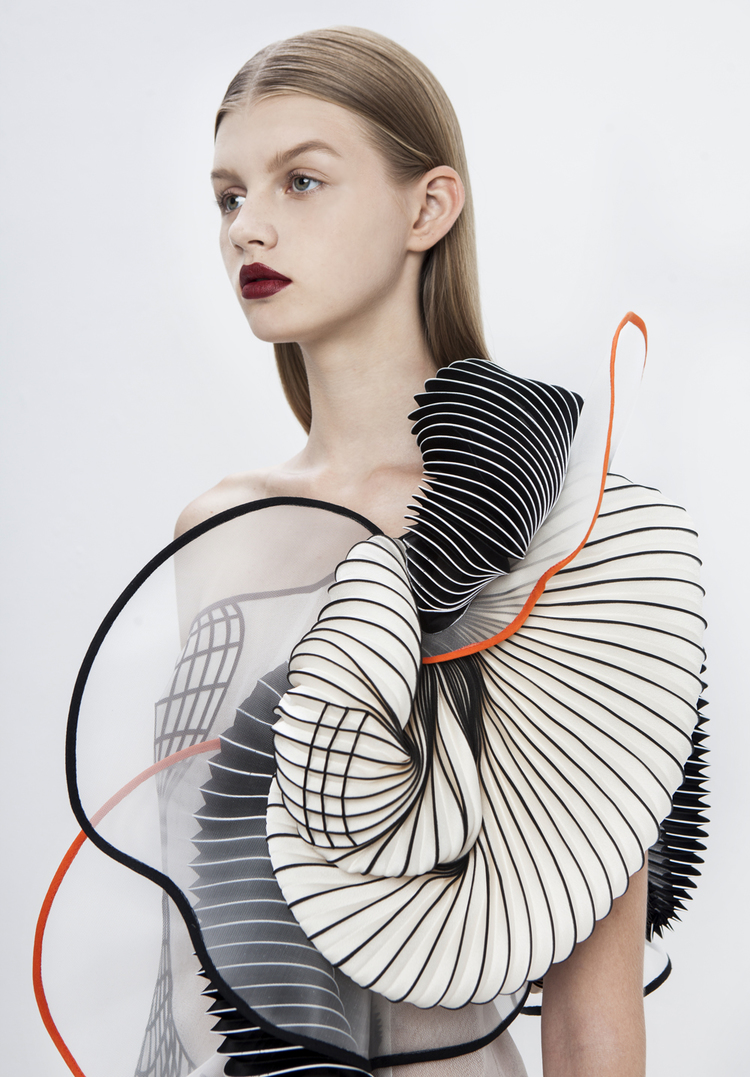 Hard Copy 3D Printed Dresses by Noa Raviv