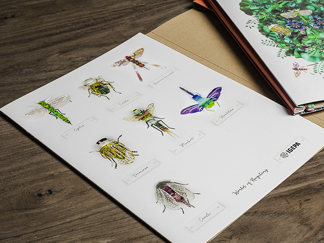 Papercraft Insects by Soon