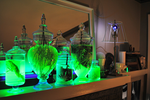 Glowing jars