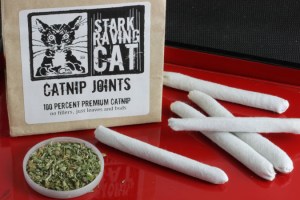 Cat Joints on Red Tray