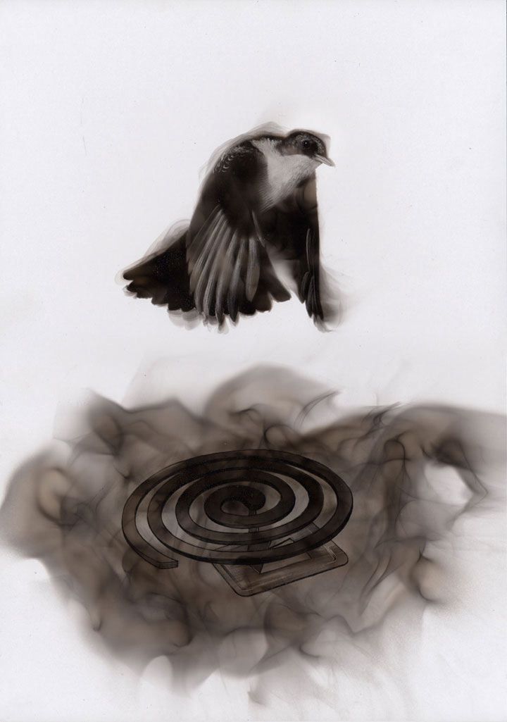 Candle Soot Bird Paintings by Steven Spazuk