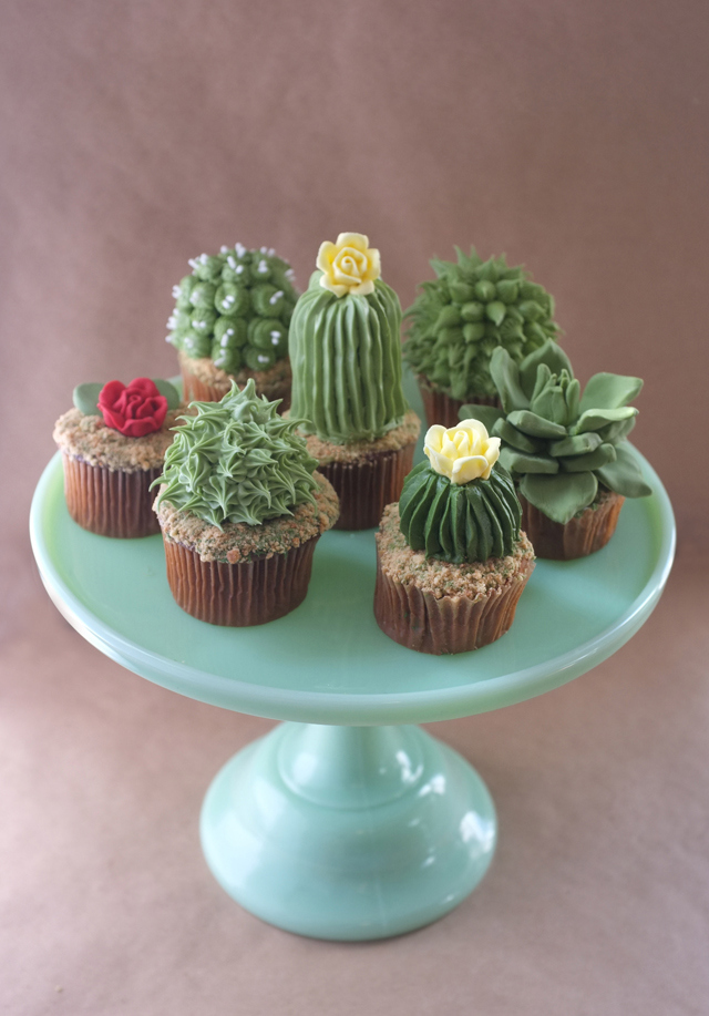 Cactus and Succulent Cupcakes by Alana Jones-Mann