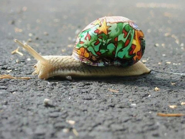 Painting Snail Shells