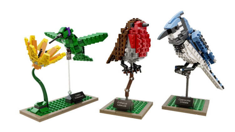 LEGO Birds by Tom Poulsom