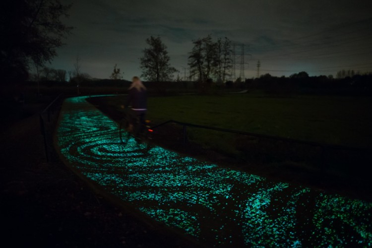 Van Gogh Starry Night Glowing Bicycle Path