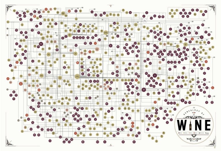 Geneology of Wine