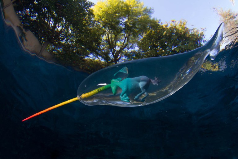 Rainbow in Water