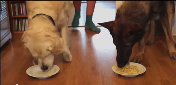 Spaghetti Eating Contest