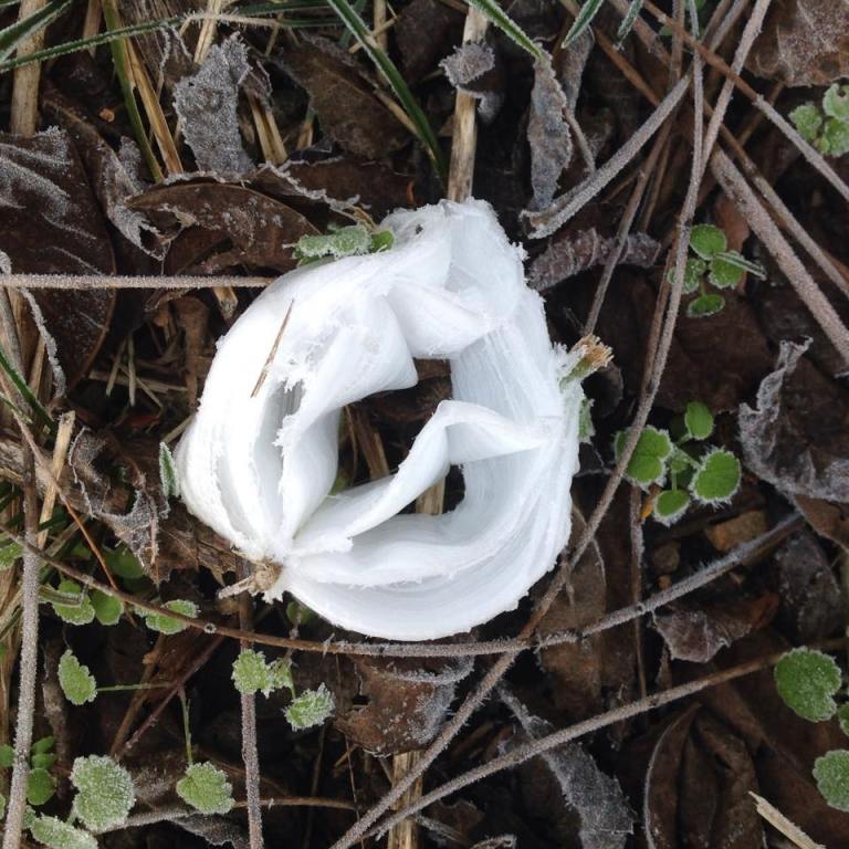 Frost flowers