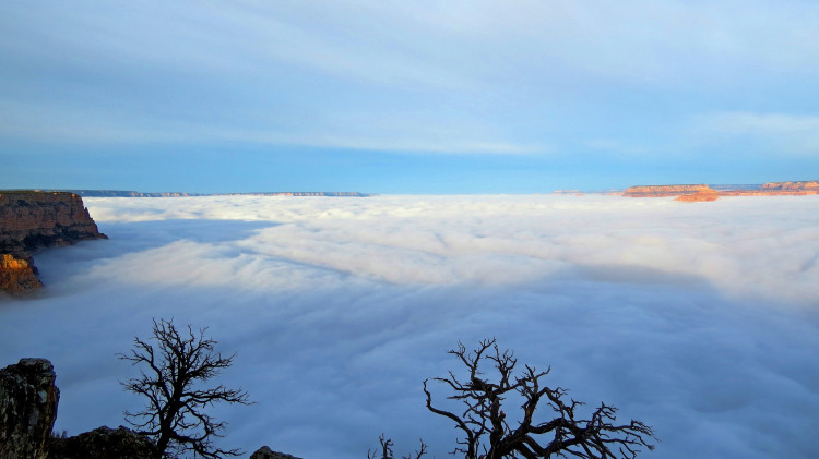 Grand Canyon Filled With Fog
