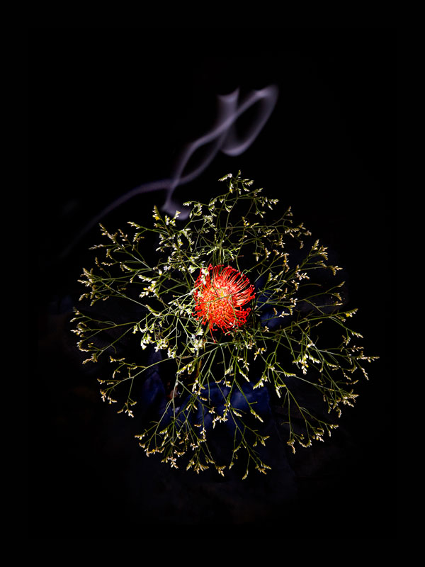 'Flowerworks', Flowers Arranged to Look Like Exploding Fireworks