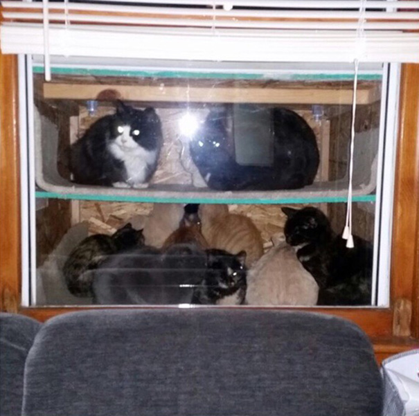 Cataquarium