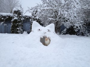 Kitty Snow Fort