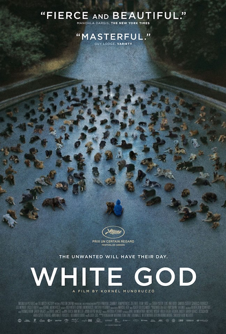 White God Poster