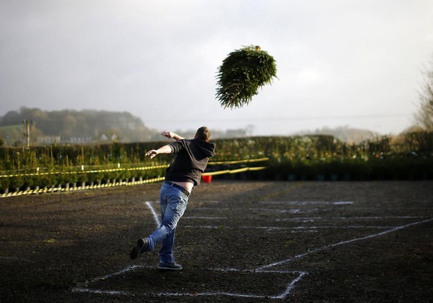 Tree Throwing