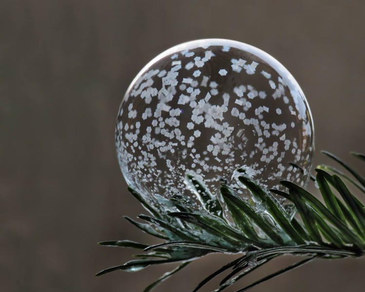 Photos of Frozen Soap Bubbles by Cheryl Johnson