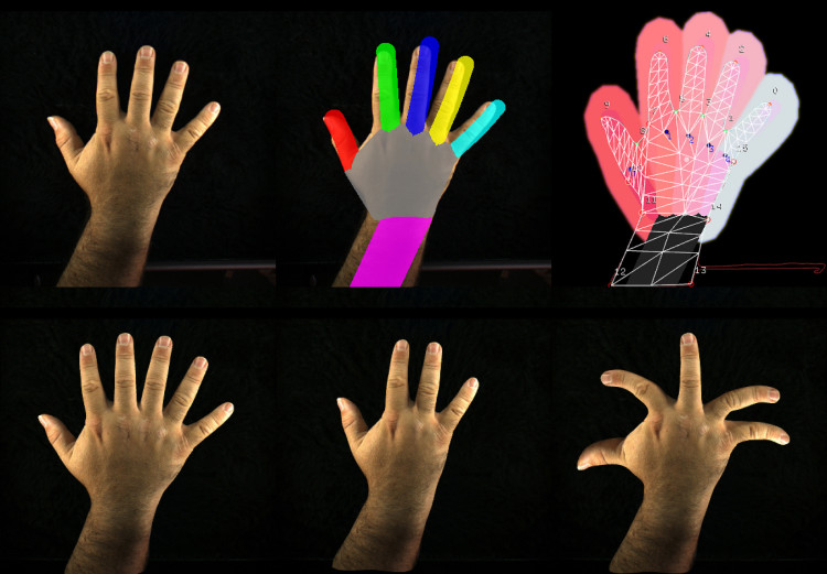 Augmented Hand Series