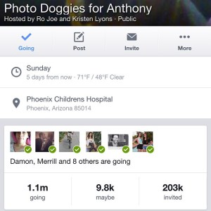 Photo Doggies for Anthony