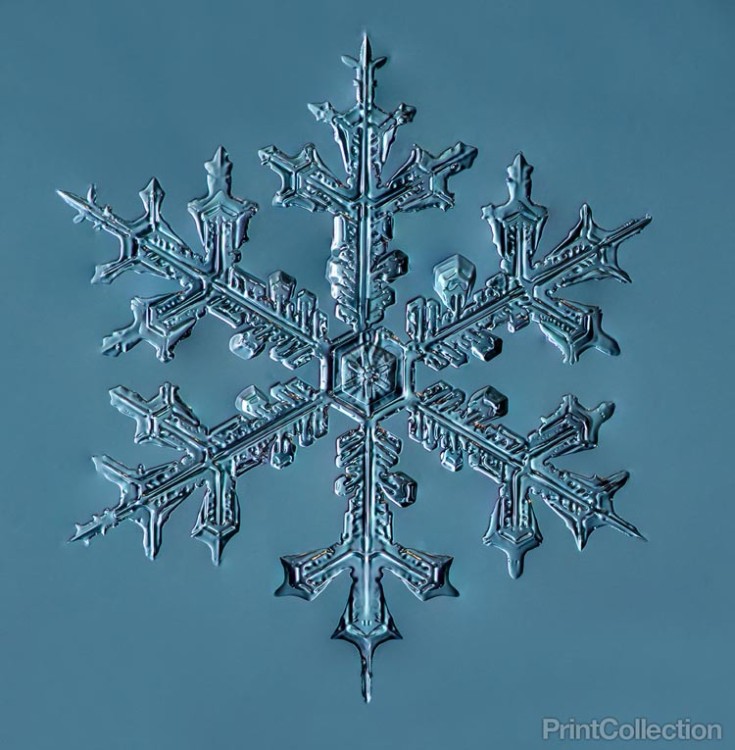 Photographer Takes Gorgeously Detailed Snowflake Photos 