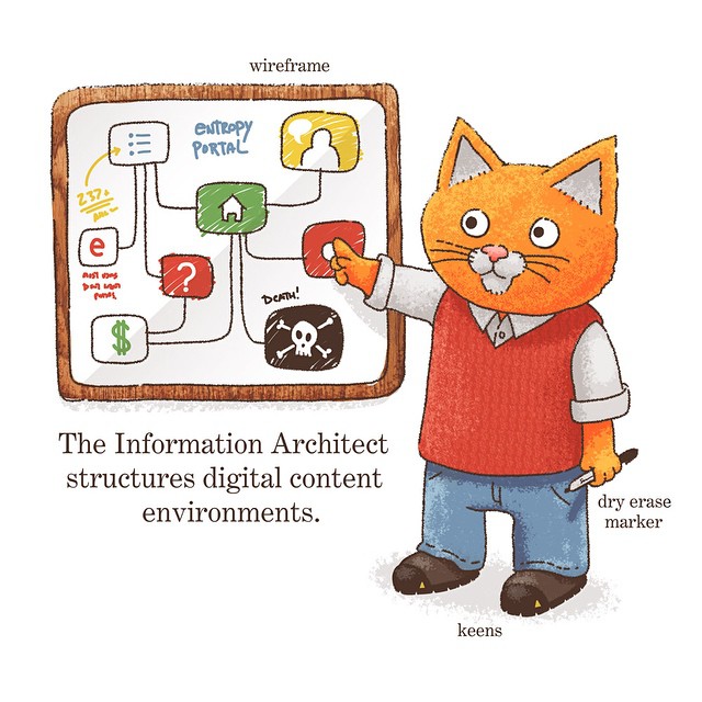 The Information Architect