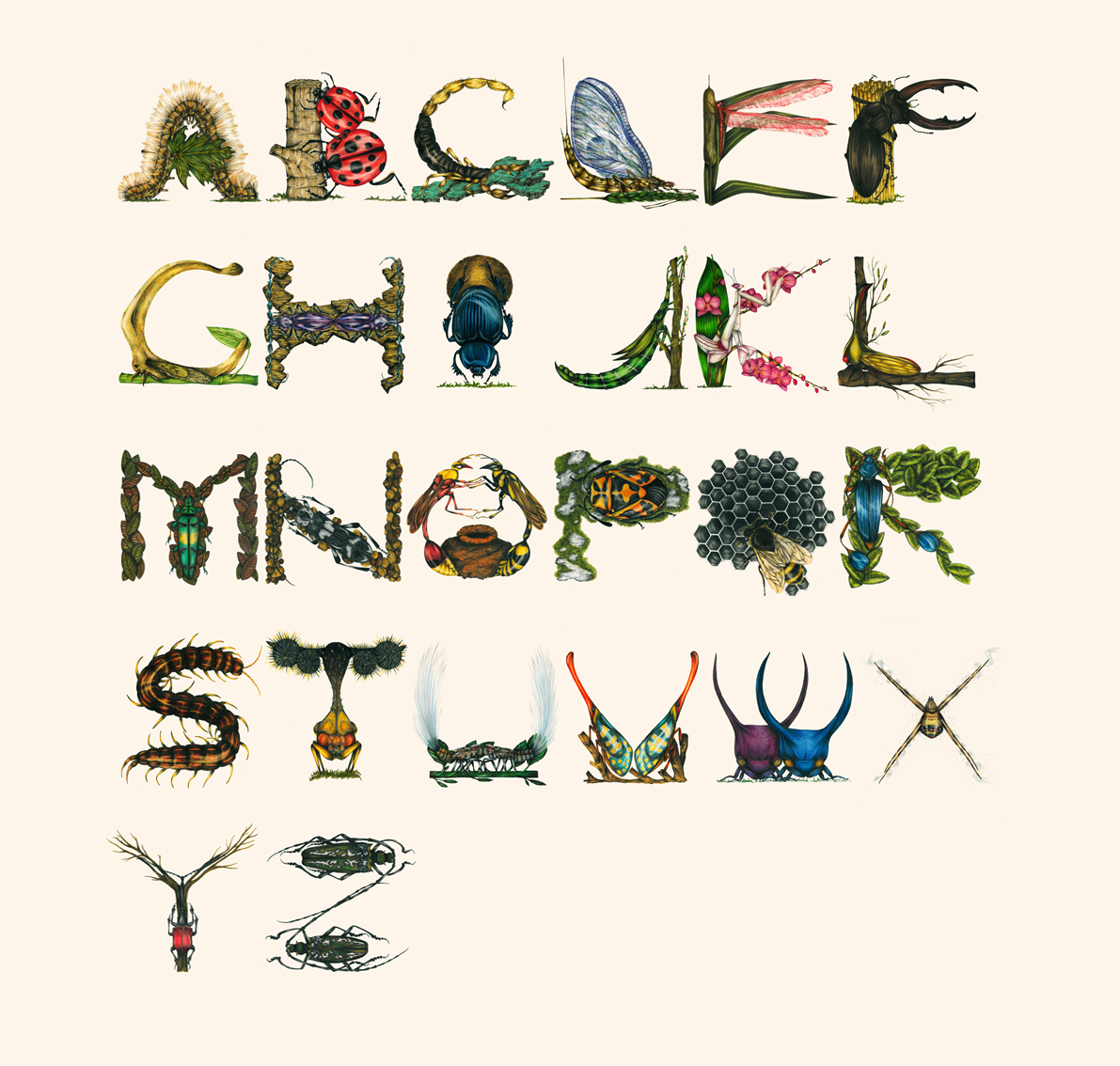 insect-alphabet-a-detailed-alphabet-created-with-drawings-of-bugs