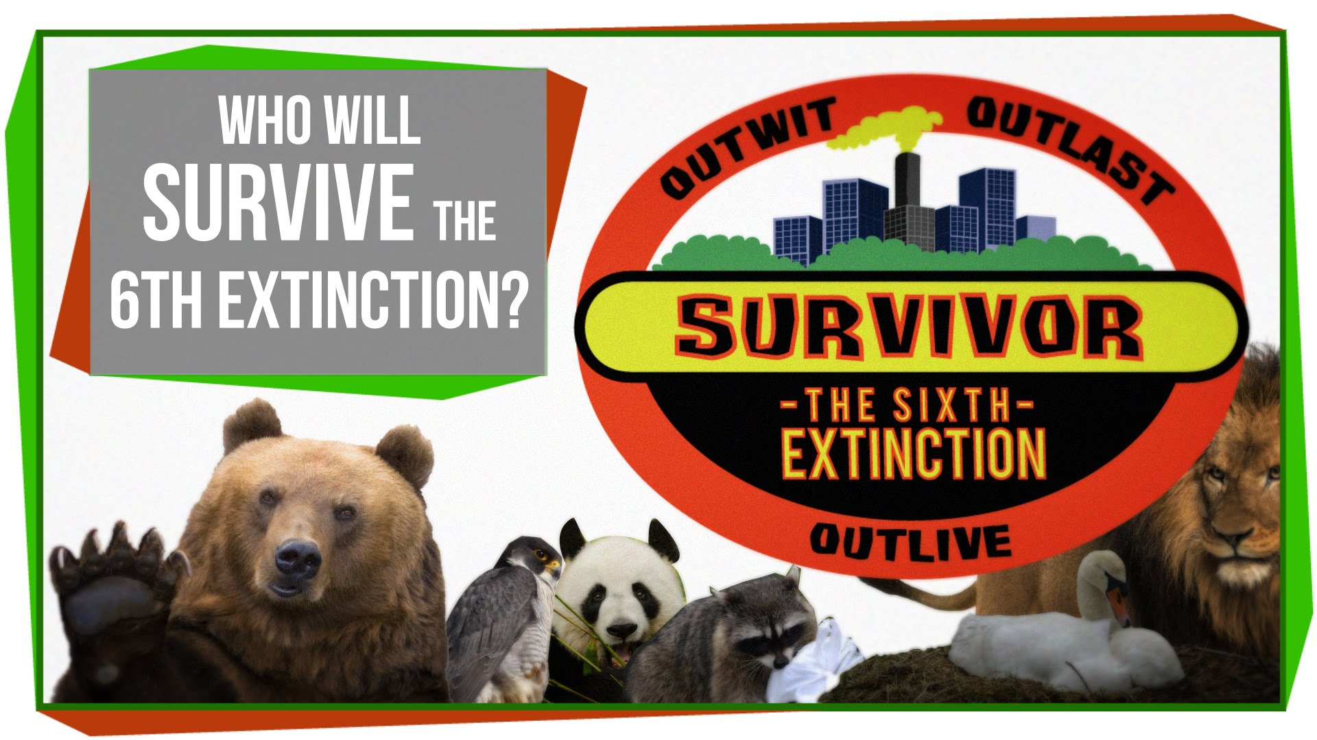 SciShow Looks at What Animals Are Likely to Survive Earth's Current Sixth Mass Extinction Event