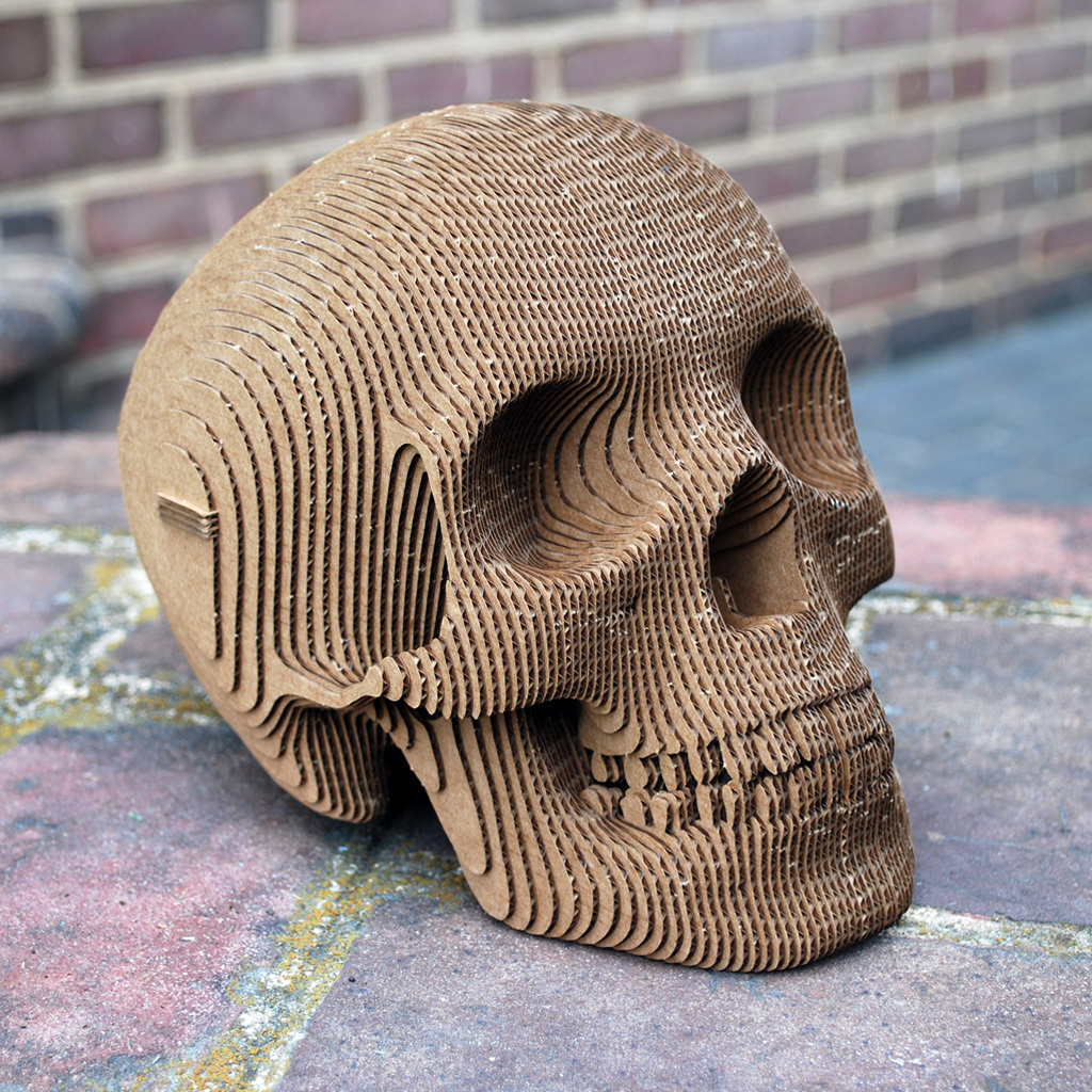 A Build-Your-Own Human Skull Sculpture Made of Laser-Cut Cardboard