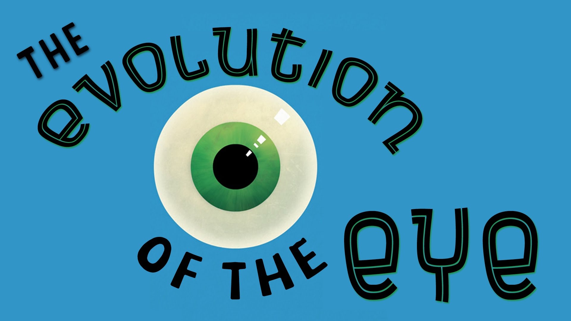 The Evolution of the Human Eye', A Short Animation Explaining How the Eye  Has Adapted Throughout the Years