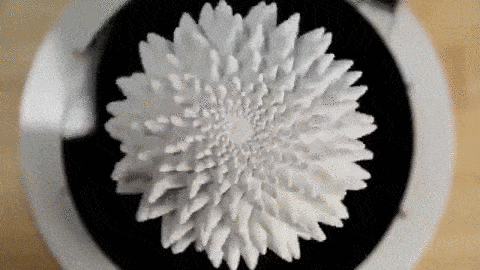 3D-Printed Fibonacci Zoetrope Sculptures by John Edmark