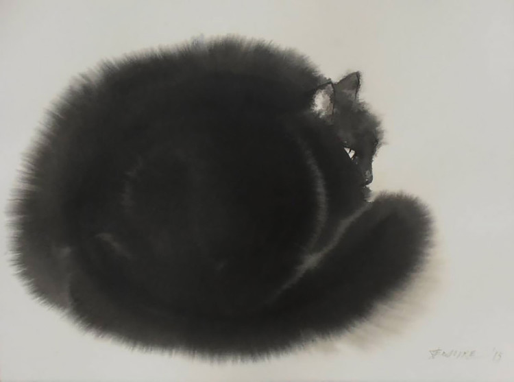 Black Cat Curled