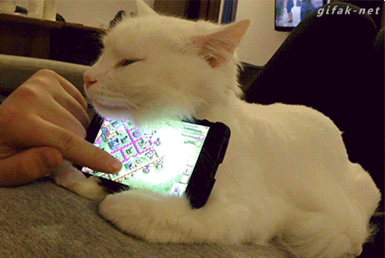 White Kitten iPhone Stand