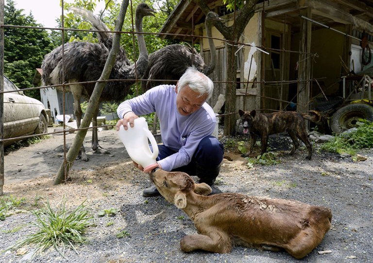 Feeding Abandoned Animal