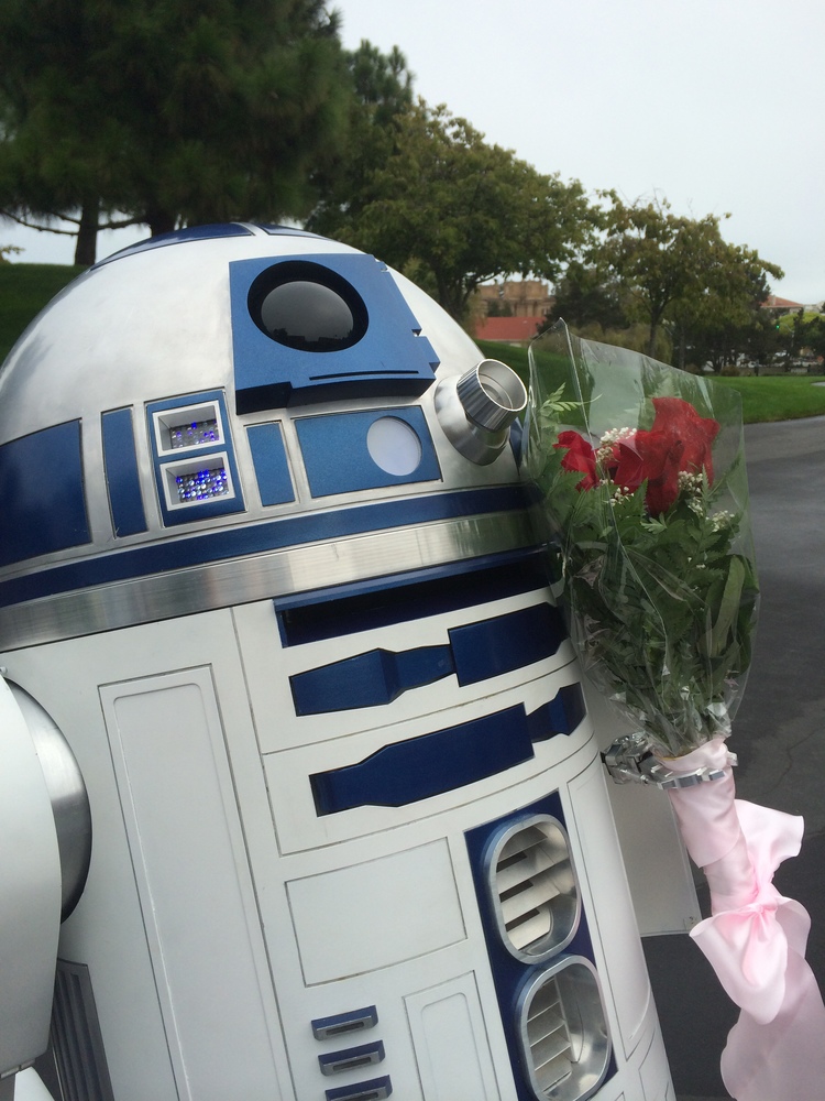 Artoo In Love