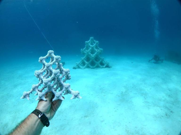 MARS Artificial Reef