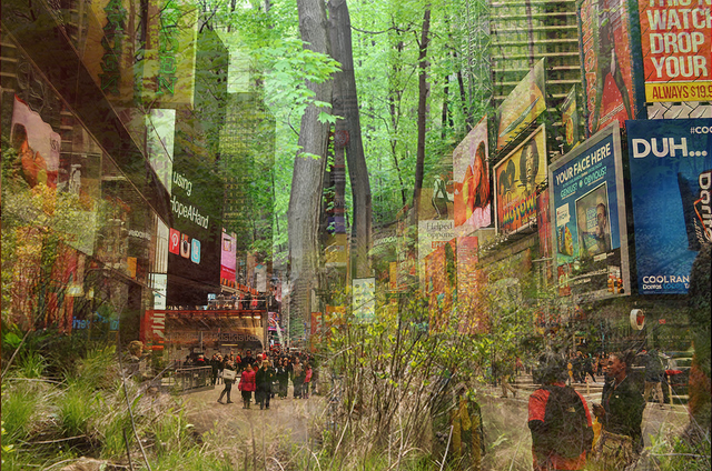 PopUP Forest: Times Square