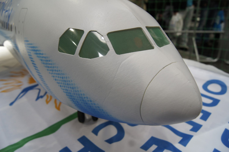 Airbus A310 Model Flying Inside