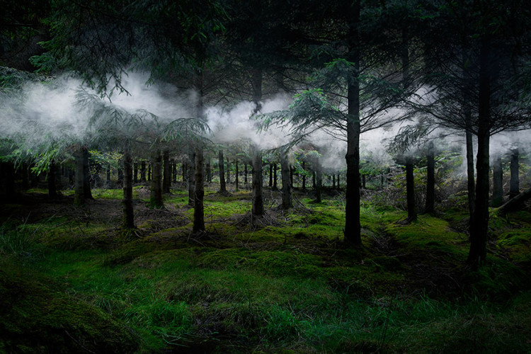 Surreal Forest Installations by Ellie Davies