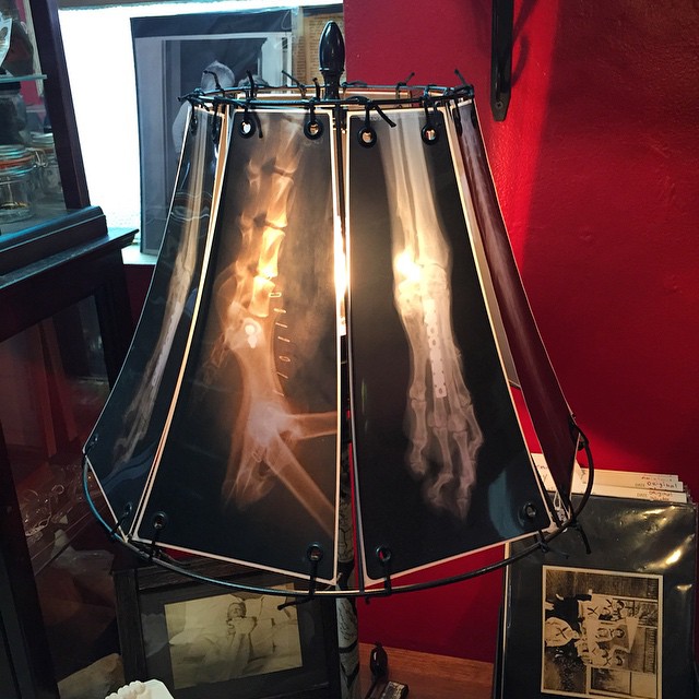 X-Ray Lamp by Spike Vain