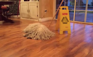 Dog Mop