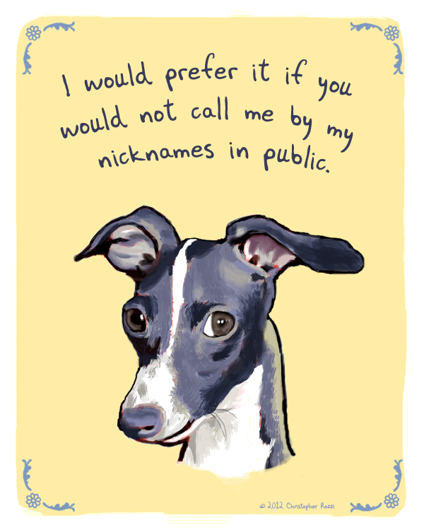 Tiny Dog Confessions
