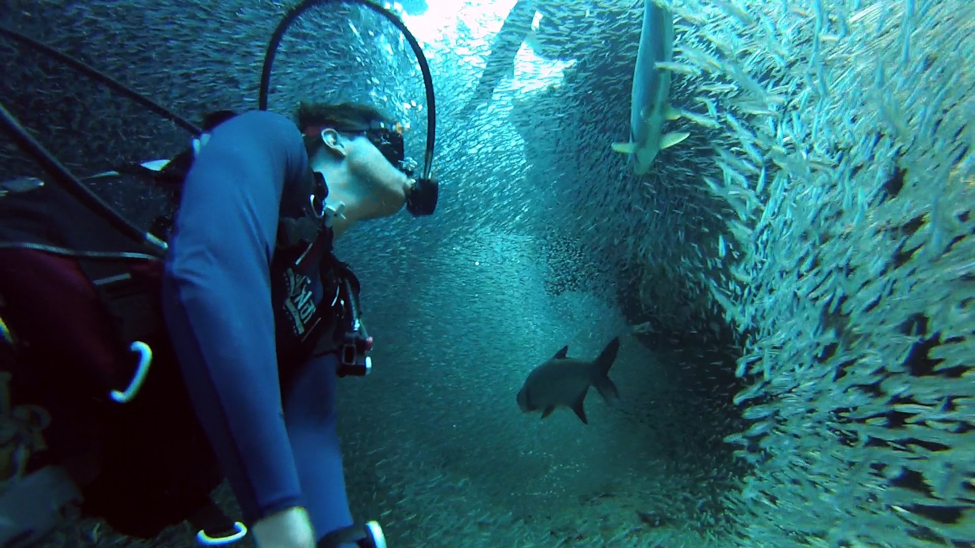 A Scuba Diver Captures Stunning GoPro Footage as He Swims Through a