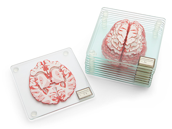 Brain Sections