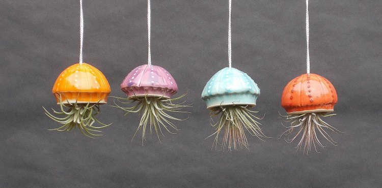 Ceramic Cephalopod Planters for Air Plants by Cindy and James Searles